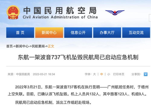 東航一波音737飛機失事 專家 與此前停飛的737max無關(guān)