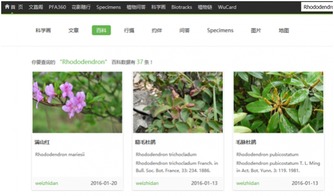 標本館新版網(wǎng)站正式上線