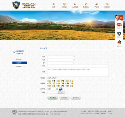 昆明港龍國際投資公司網站設計