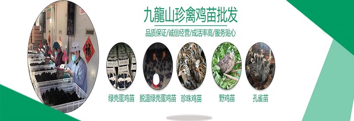 湖南九龍山珍禽集團昆明分公司