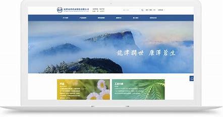 昆明網站建設公司申躍匯總:天眼查企業查詢|2024年07月素材