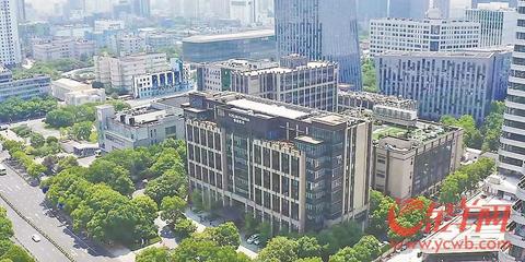 冠軍中國(guó) 青春接力 | 粵港澳大灣區(qū)與長(zhǎng)三角 雙&ldquo;翼&rdquo;齊飛 積&ldquo;勢(shì)&rdquo;成力